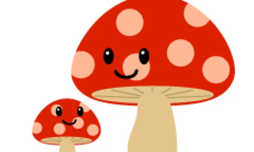胡萝卜的功效与作用及营养价值-胡萝卜的作用与功效儿童网- 胡萝卜的叶子的功效与作用知识,分享胡萝卜作用功效