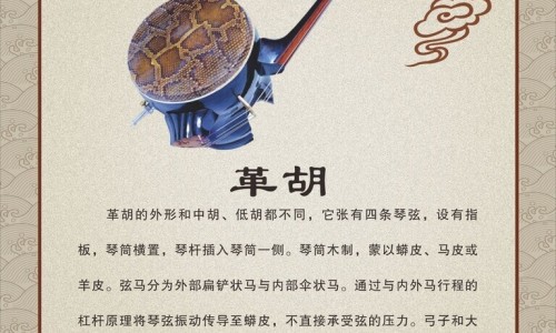 胡萝卜的作用与功效儿童能吃吗-胡萝卜的作用与功效儿童网- 胡萝卜的叶子的功效与作用知识,分享胡萝卜作用功效