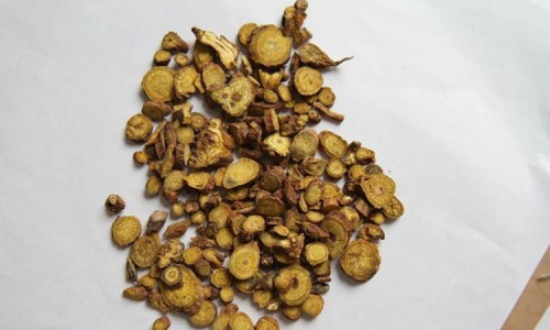 胡萝卜的叶子的功效与作用-胡萝卜的作用与功效儿童网- 胡萝卜的叶子的功效与作用知识,分享胡萝卜作用功效
